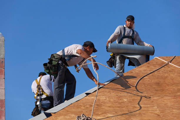 Best Roof Gutter Cleaning  in Columbus Junction, IA