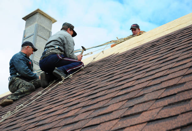 Best Flat Roof Repair Services  in Columbus Junction, IA